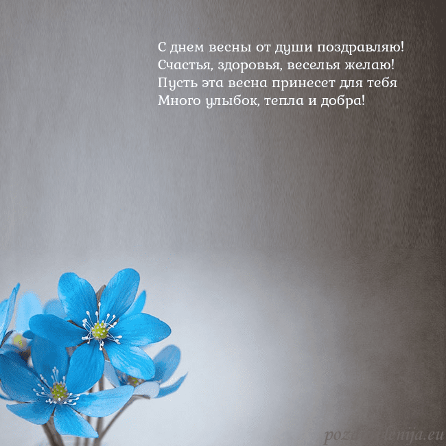 Открытка с фиалками С днем весны от души поздравляю!
Счастья, здоровья Открытка с фиалками