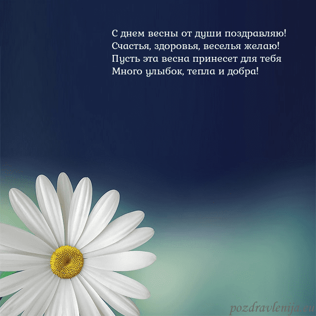 Открытка с большой ромашкой С днем весны от души поздравляю!
Счастья, здоровья Открытка с большой ромашкой