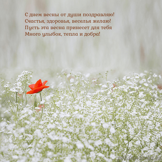 Электронная открытка с белыми цветами С днем весны от души поздравляю!
Счастья, здоровья Электронная открытка с белыми цветами