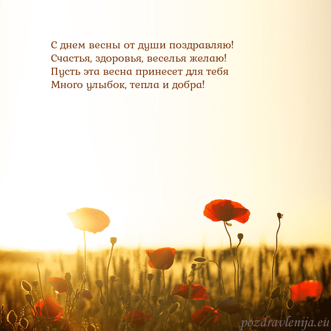 Электронная открытка с полем маков С днем весны от души поздравляю!
Счастья, здоровья Электронная открытка с полем маков