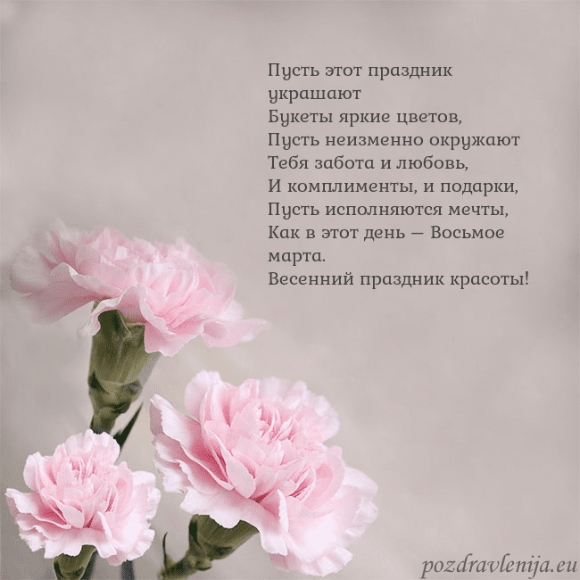 Открытка с розовыми гвоздиками Пусть этот праздник украшают
Букеты яркие цветов,
Открытка с розовыми гвоздиками