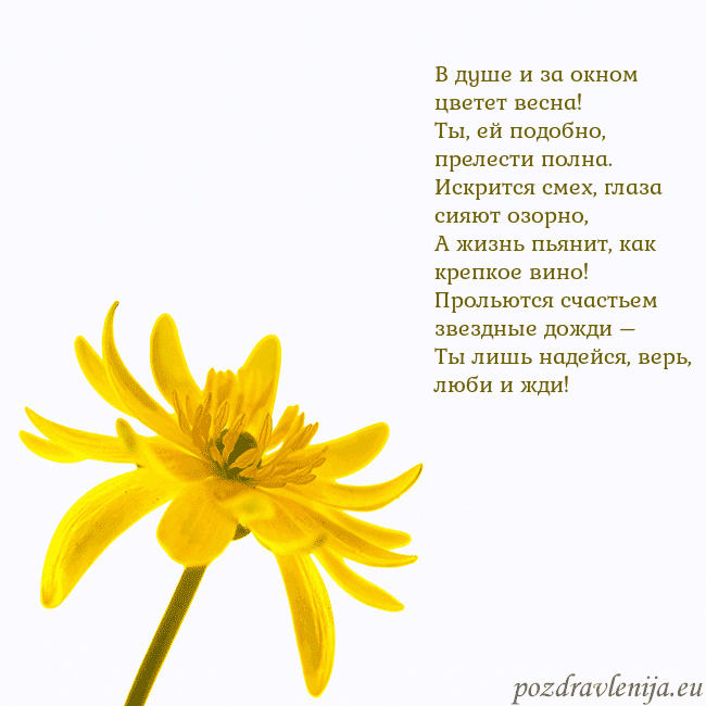 Открытка с желтым цветком В душе и за окном цветет весна!
Ты, ей подобно, пр Открытка с желтым цветком