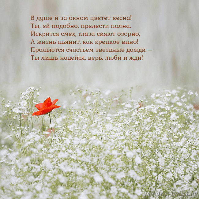 Электронная открытка с белыми цветами В душе и за окном цветет весна!
Ты, ей подобно, пр Электронная открытка с белыми цветами