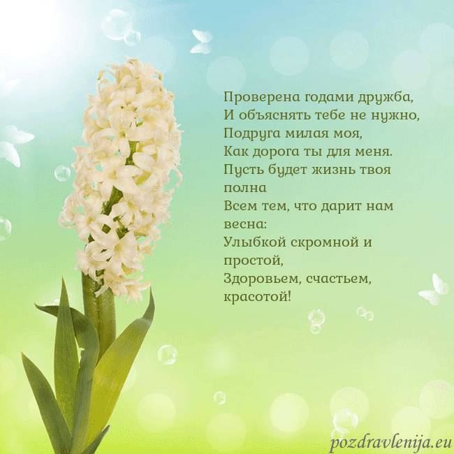 Открытка с гиацинтом Проверена годами дружба,
И объяснять тебе не нужно Открытка с гиацинтом