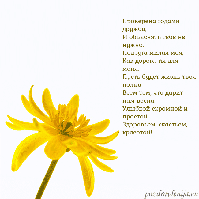 Открытка с желтым цветком Проверена годами дружба,
И объяснять тебе не нужно Открытка с желтым цветком
