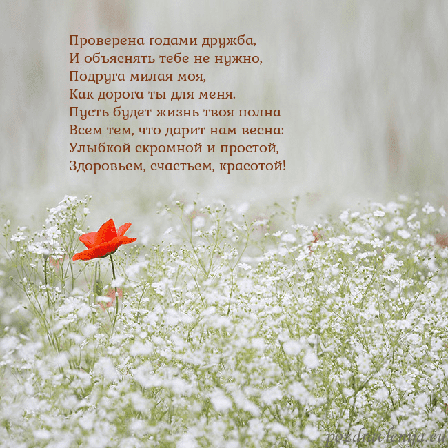 Электронная открытка с белыми цветами Проверена годами дружба,
И объяснять тебе не нужно Электронная открытка с белыми цветами
