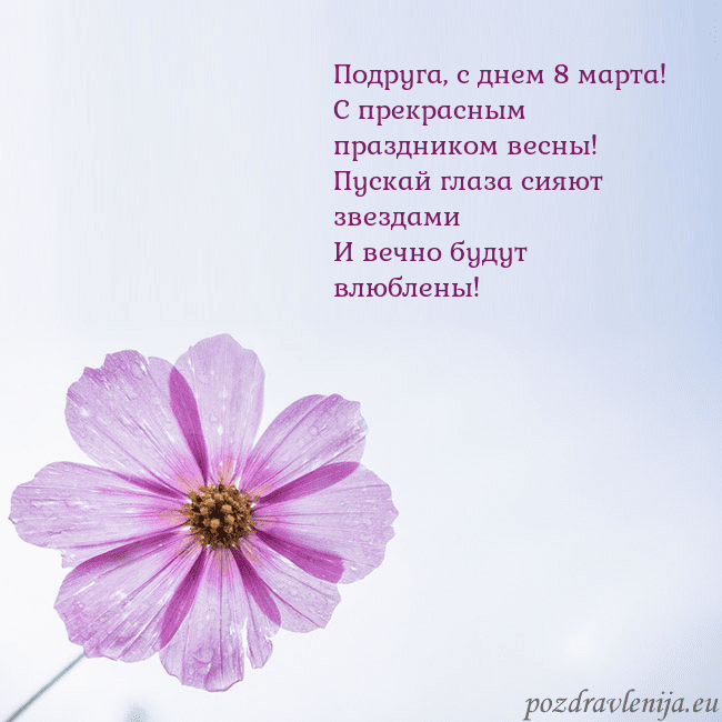 Электронная открытка с фиолетовым цветком Подруга, с днем 8 марта!
С прекрасным праздником в Электронная открытка с фиолетовым цветком