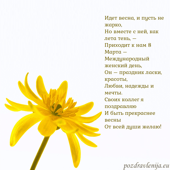 Открытка с желтым цветком Идет весна, и пусть не жарко,
Но вместе с ней, как Открытка с желтым цветком