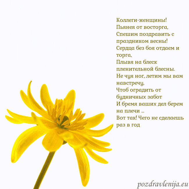 Открытка с желтым цветком Коллеги-женщины! Пьянея от восторга,
Спешим поздра Открытка с желтым цветком