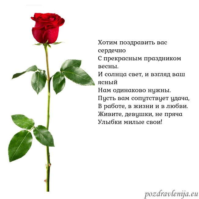 Открытка с красной розой Хотим поздравить вас сердечно
С прекрасным праздни Открытка с красной розой