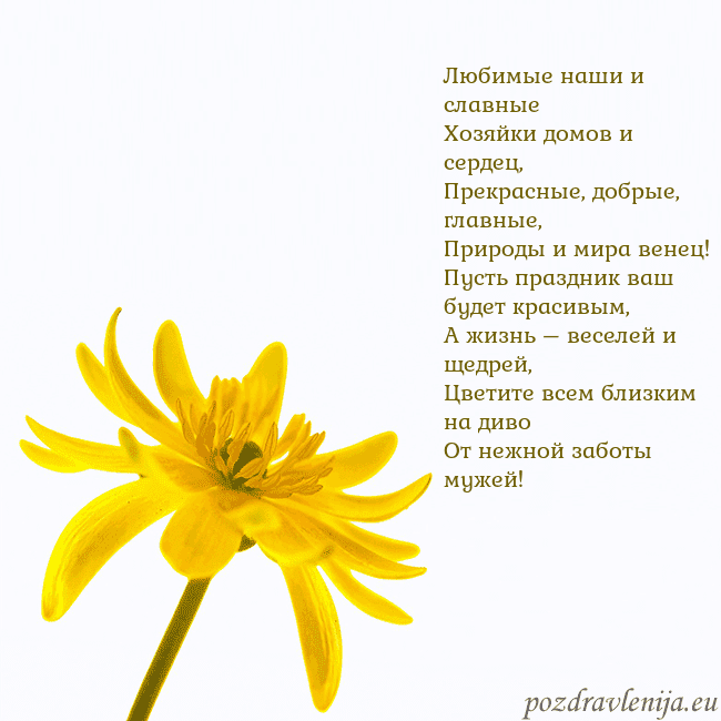 Открытка с желтым цветком Любимые наши и славные
Хозяйки домов и сердец,
Пре Открытка с желтым цветком