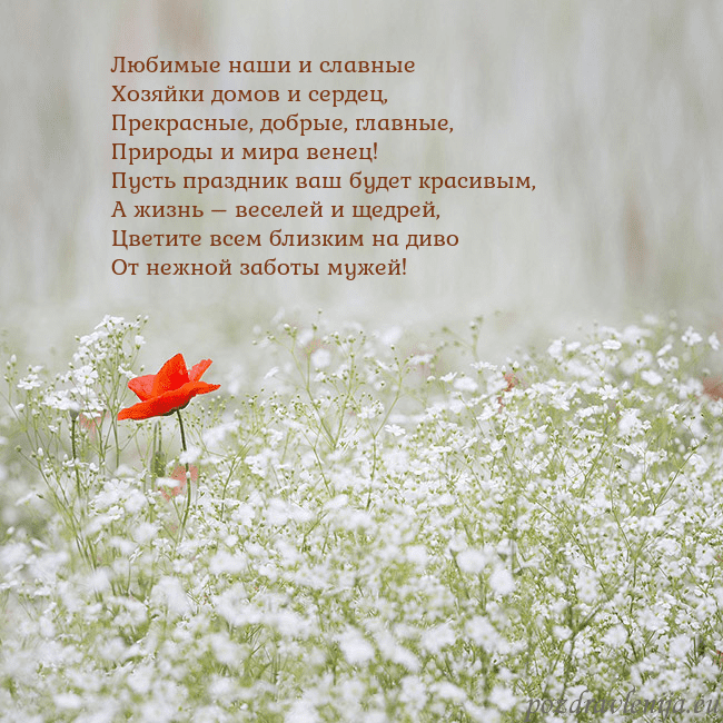 Электронная открытка с белыми цветами Любимые наши и славные
Хозяйки домов и сердец,
Пре Электронная открытка с белыми цветами