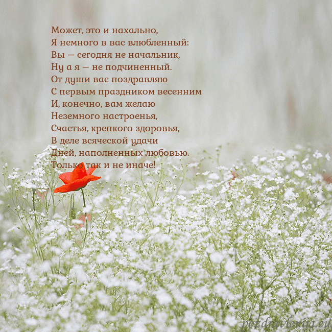Электронная открытка с белыми цветами Может, это и нахально,
Я немного в вас влюбленный: Электронная открытка с белыми цветами