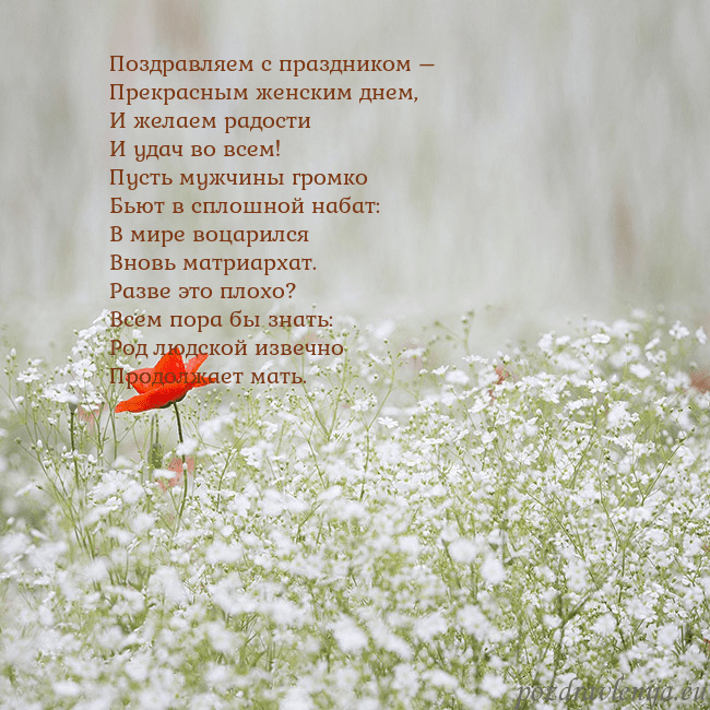 Электронная открытка с белыми цветами Поздравляем с праздником –
Прекрасным женским днем Электронная открытка с белыми цветами