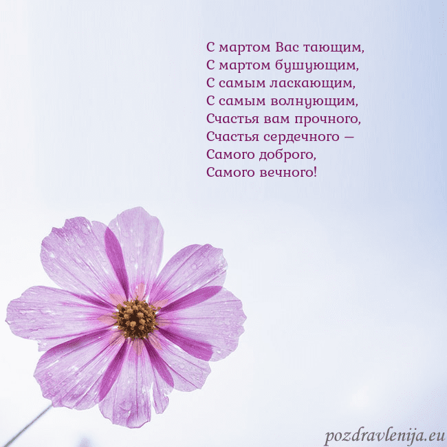 Электронная открытка с фиолетовым цветком С мартом Вас тающим,
С мартом бушующим,
С самым ла Электронная открытка с фиолетовым цветком