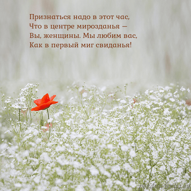 Электронная открытка с белыми цветами Признаться надо в этот час,
Что в центре мироздань Электронная открытка с белыми цветами