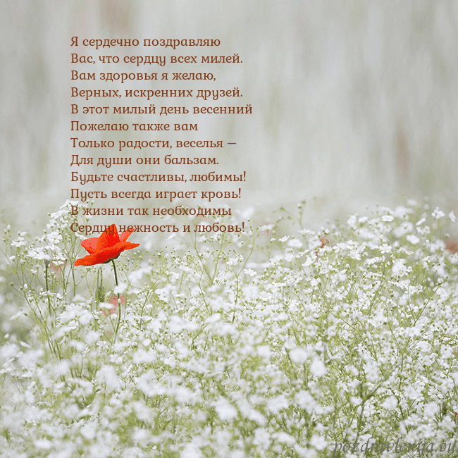 Электронная открытка с белыми цветами Я сердечно поздравляю
Вас, что сердцу всех милей.
Электронная открытка с белыми цветами