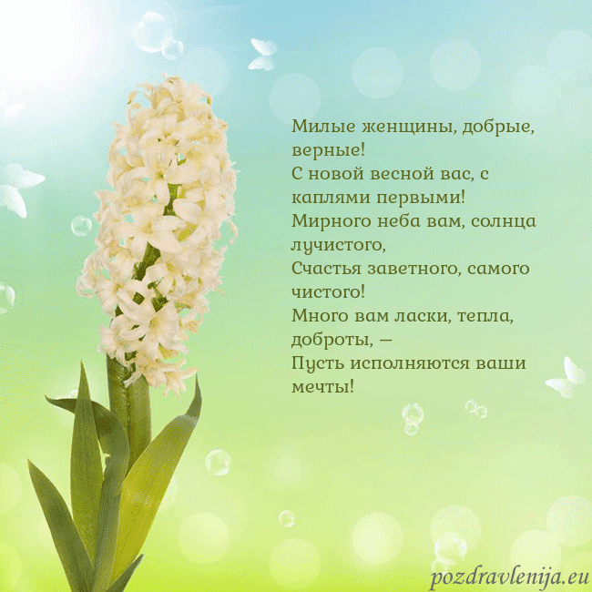 Открытка с гиацинтом Милые женщины, добрые, верные!
С новой весной вас, Открытка с гиацинтом