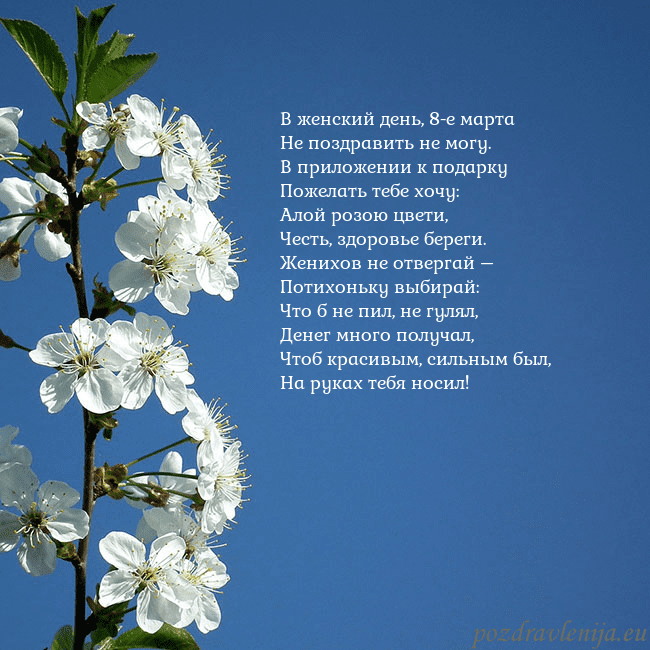 Открытка с весенними цветами В женский день, 8-е марта
Не поздравить не могу.
В Открытка с весенними цветами