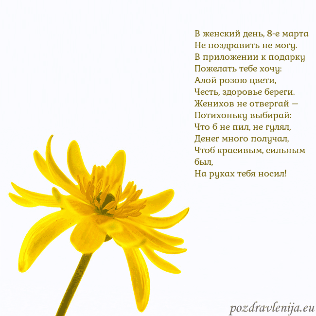 Открытка с желтым цветком В женский день, 8-е марта
Не поздравить не могу.
В Открытка с желтым цветком