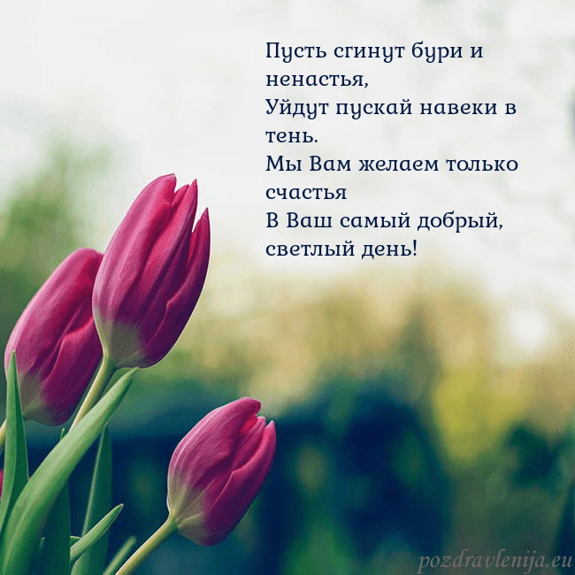 Открытка с тремя красными тюльпанами Пусть сгинут бури и ненастья,
Уйдут пускай навеки Открытка с тремя красными тюльпанами