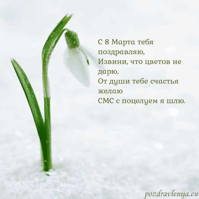 kovo 8-7 С 8 Марта тебя поздравляю,
Извини, что цветов не д kovo 8-7