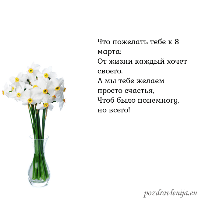 Открытка с нарциссами