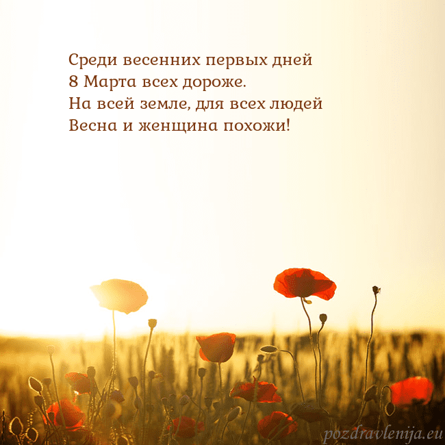 Электронная открытка с полем маков Среди весенних первых дней
8 Марта всех дороже.
На Электронная открытка с полем маков