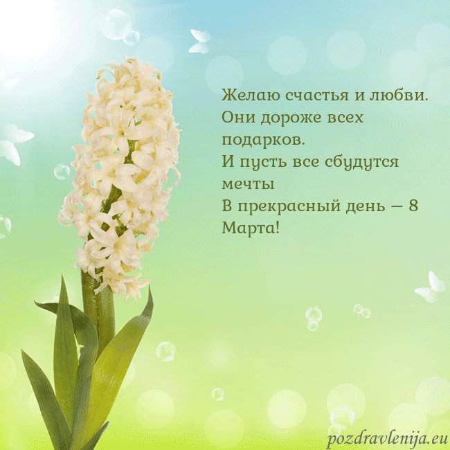 Открытка с гиацинтом Желаю счастья и любви.
Они дороже всех подарков.
И Открытка с гиацинтом