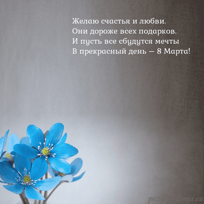 Открытка с фиалками Желаю счастья и любви.
Они дороже всех подарков.
И Открытка с фиалками