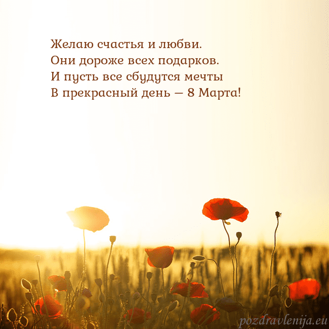 Электронная открытка с полем маков Желаю счастья и любви.
Они дороже всех подарков.
И Электронная открытка с полем маков