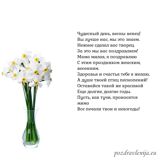 Открытка с нарциссами Чудесный день, весны венец!
Вы лучше нас, мы это з Открытка с нарциссами