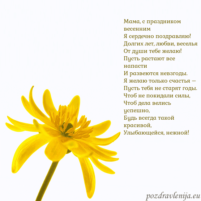 Открытка с желтым цветком Мама, с праздником весенним
Я сердечно поздравляю! Открытка с желтым цветком