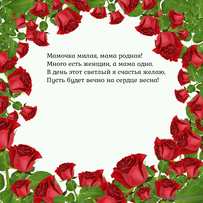 Открытка с красными розами Мамочка милая, мама родная!
Много есть женщин, а м Открытка с красными розами