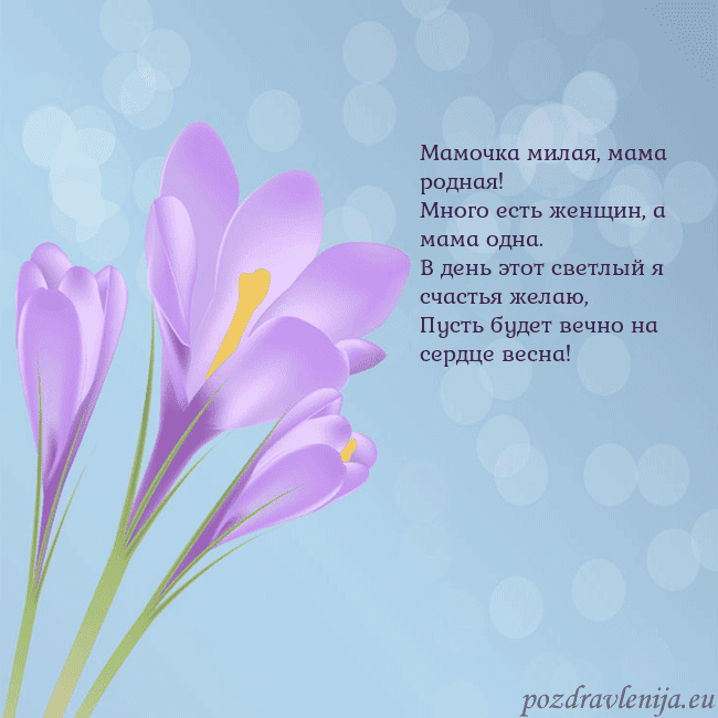 Открытка с крокусом Мамочка милая, мама родная!
Много есть женщин, а м Открытка с крокусом