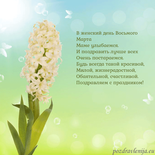 Открытка с гиацинтом В женский день Восьмого Марта
Маме улыбаемся.
И по Открытка с гиацинтом