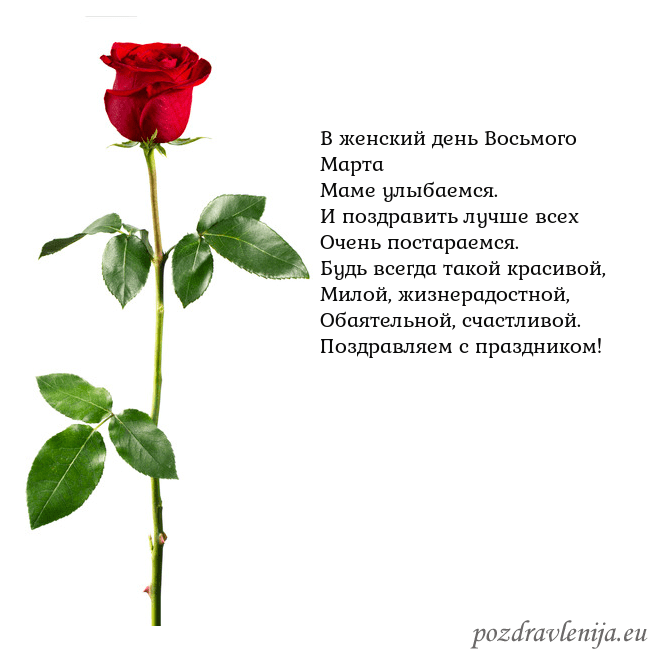 Открытка с красной розой В женский день Восьмого Марта
Маме улыбаемся.
И по Открытка с красной розой
