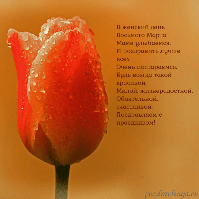 Открытка с красным тюльпаном В женский день Восьмого Марта
Маме улыбаемся.
И по Открытка с красным тюльпаном