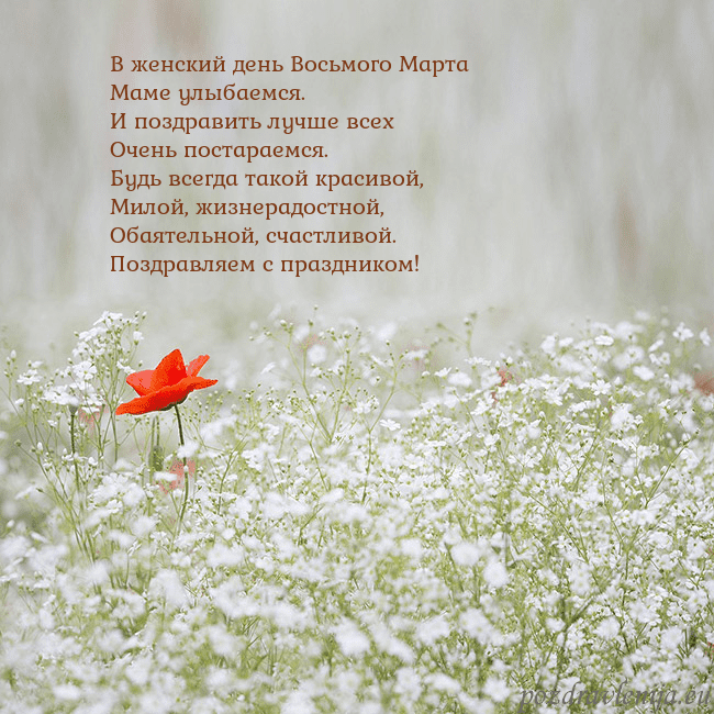 Электронная открытка с белыми цветами В женский день Восьмого Марта
Маме улыбаемся.
И по Электронная открытка с белыми цветами