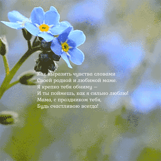 Электронная анимированная открытка с незабудками Как выразить чувства словами
Своей родной и любимо Электронная анимированная открытка с незабудками