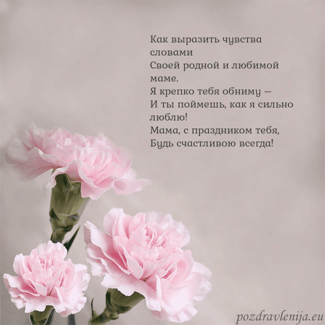 Открытка с розовыми гвоздиками Как выразить чувства словами
Своей родной и любимо Открытка с розовыми гвоздиками