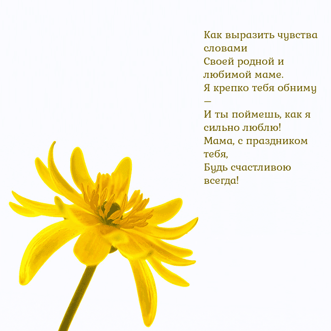 Открытка с желтым цветком Как выразить чувства словами
Своей родной и любимо Открытка с желтым цветком
