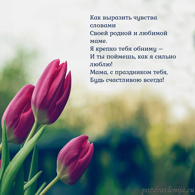 Открытка с тремя красными тюльпанами Как выразить чувства словами
Своей родной и любимо Открытка с тремя красными тюльпанами