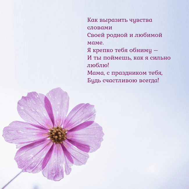 Электронная открытка с фиолетовым цветком Как выразить чувства словами
Своей родной и любимо Электронная открытка с фиолетовым цветком