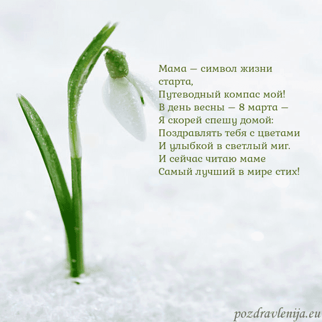 kovo 8-7 Мама – символ жизни старта,
Путеводный компас мой! kovo 8-7