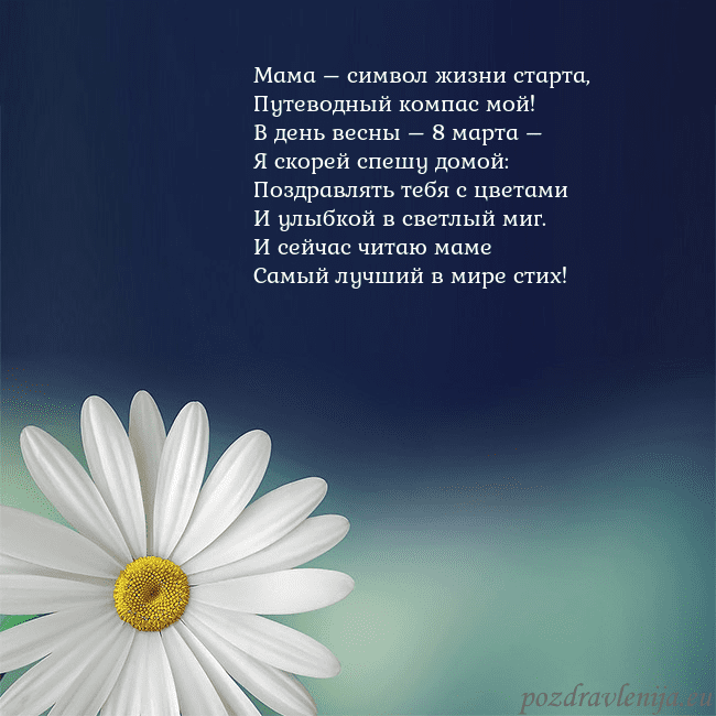 Открытка с большой ромашкой Мама – символ жизни старта,
Путеводный компас мой! Открытка с большой ромашкой