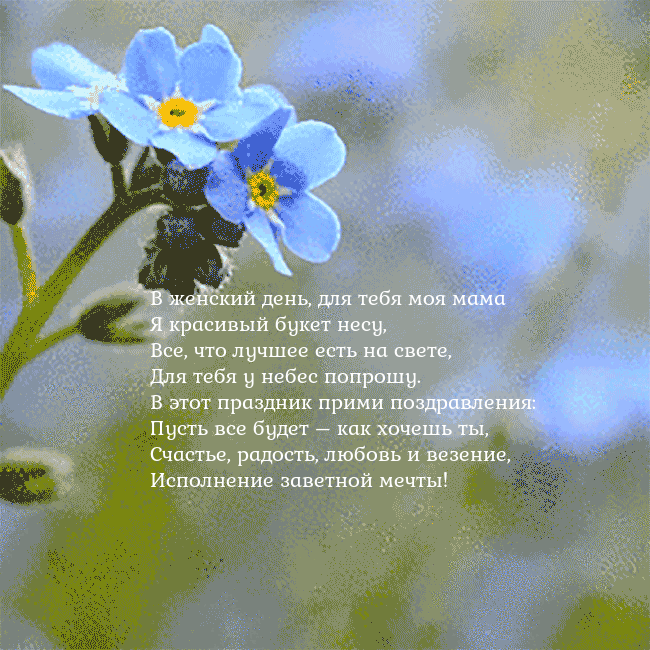 Электронная анимированная открытка с незабудками В женский день, для тебя моя мама
Я красивый букет Электронная анимированная открытка с незабудками