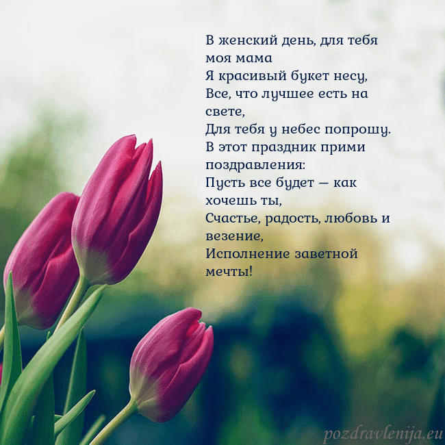 Открытка с тремя красными тюльпанами В женский день, для тебя моя мама
Я красивый букет Открытка с тремя красными тюльпанами
