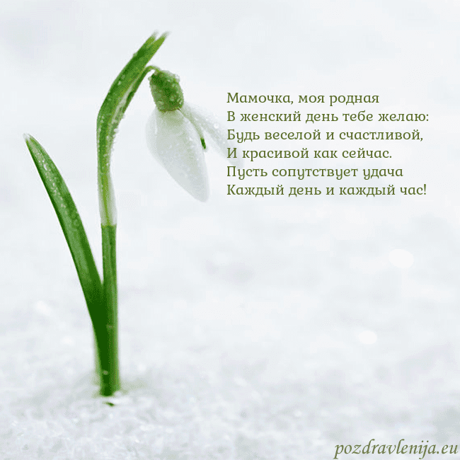 kovo 8-7 Мамочка, моя родная
В женский день тебе желаю:
Буд kovo 8-7