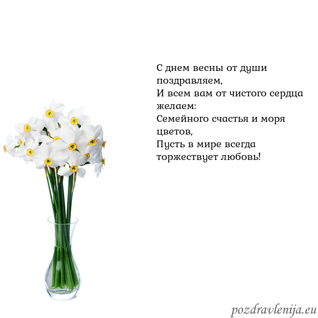 Открытка с нарциссами С днем весны от души поздравляем,
И всем вам от чи Открытка с нарциссами
